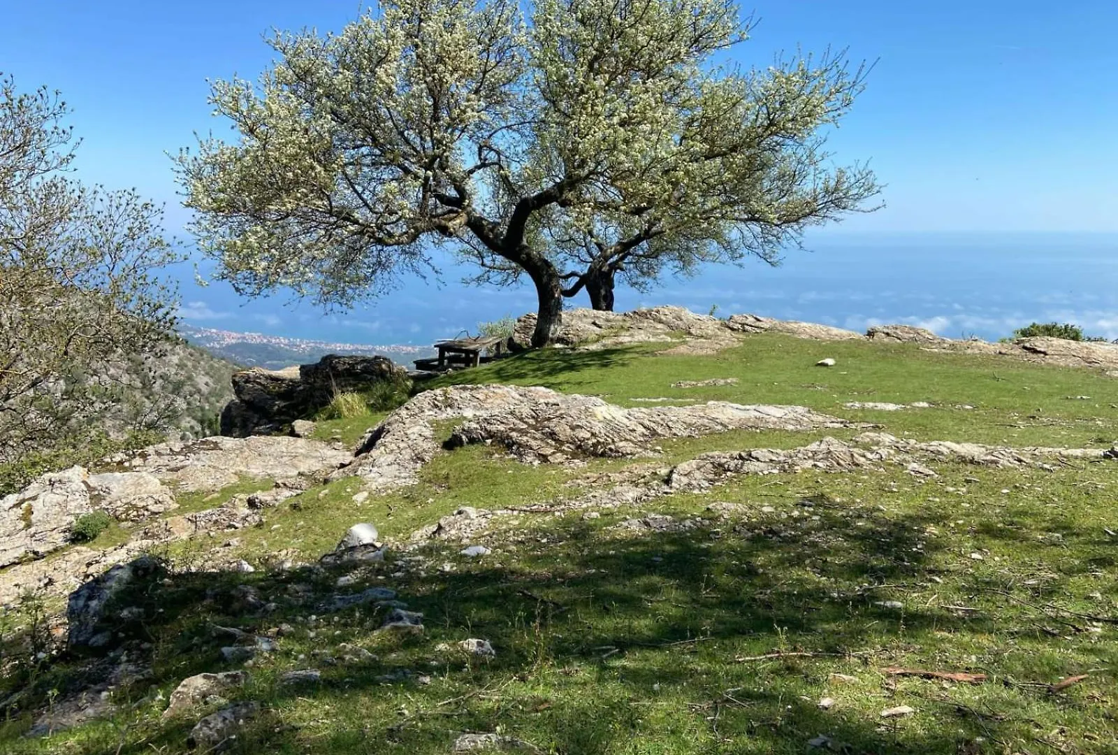 Casa Ohana Ceriale Open Space 4 Persone Italy